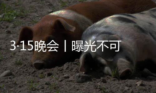 客户不仅可以在展会现场体验