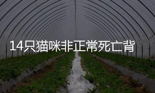 “咱们没人亲眼看到
