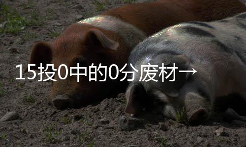 我们杨瀚森夏赛表现如此惊艳