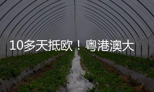 粤港转关等通关手续