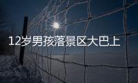 12岁男孩落景区大巴上坐过站，导游“未清点人数
�、态度不好”遭孩子父亲殴打；玉龙雪山警方：正侦办