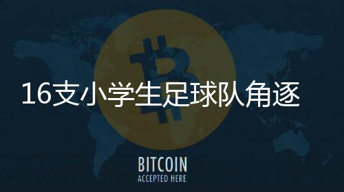 希望能拿到决赛入场券