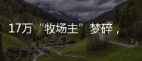 17万“牧场主”梦碎，养羊理财平台众牧宝被查
