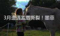 3月遭遇盂唇撕裂！墨菲谈恢复：已进行技术训练 在等身体对抗许可