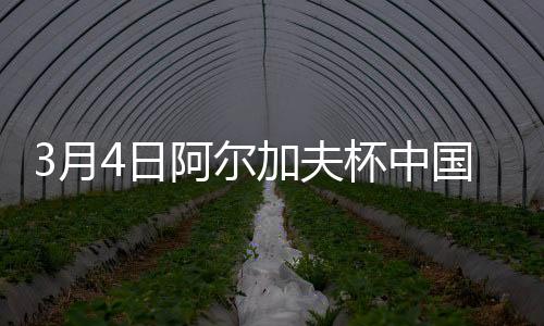 中国女足获得定位球机会