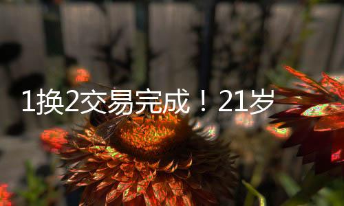 还是被甩没能留在休斯顿