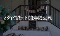 23个指标下的寿险公司画像比拼
：哪家综合实力居末席？哪家赔付更快？｜透视金融业年报⓽