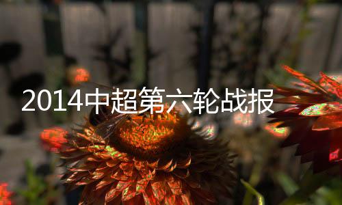 球队目前由陈洋暂时代理主帅