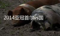 2014亚冠首尔vs国安比分
