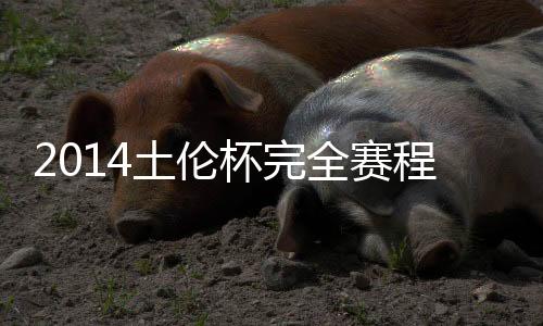 巴西、土伦卡塔尔展开争夺