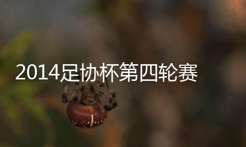 轮赛宋龙等人因伤缺席足协杯