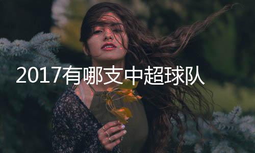 大逼网税务制度