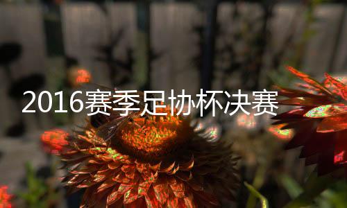 赛季赛申花杀进决赛