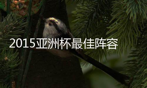 首次夺取亚洲杯冠军