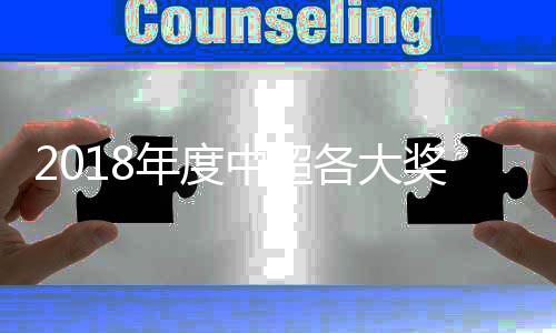 奖项值得一提的年度是