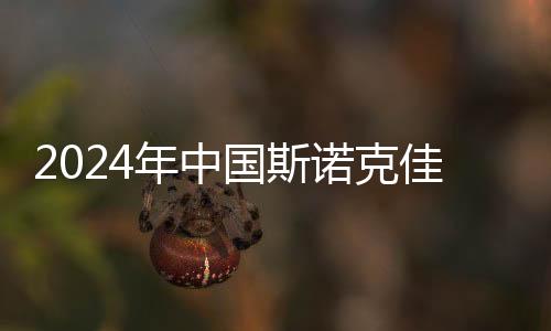 突破不断排名刷新纪录2024年