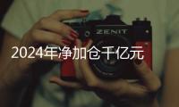 2024年净加仓千亿元，寿险“头雁”还看好股市吗�？｜透视金融业2024年年报④