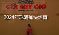 2024年珠海加快培育新质生产力，高技术制造业增加值同比增长15％