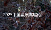 2025中国发展高层论坛�：真诚欢迎国际资本回归中国