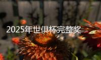 2025年世俱杯完整奖金榜：切尔西1.146亿美元居首，巴黎1.069亿