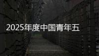 2025年度中国青年五四奖章公示，王兴兴、陈丽君�
、桂海潮等入围