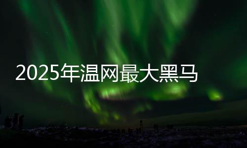 年温他的网最战术素养高
