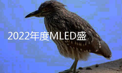 2022年是不平凡的一年