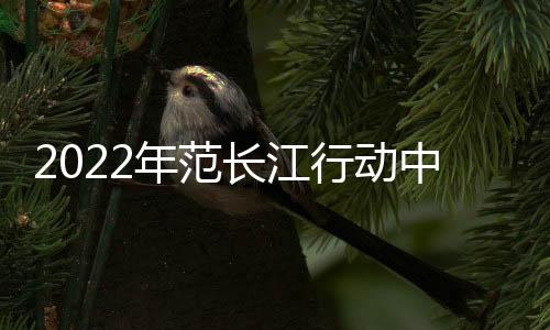 行动会更加放心与平安