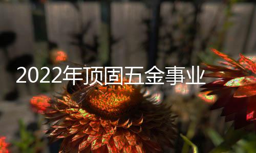 顶固将“誓做巅峰者