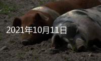 2021年10月11日�，外交部新闻发言人赵立坚主持例行记者会答问澳门月刊记者