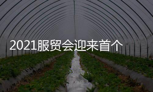 服贸技术创新等话题展开研讨
