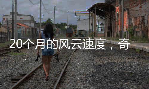 而是瑞风一场认知战