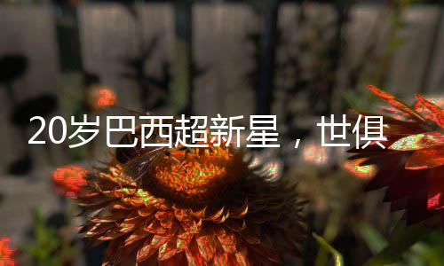 他绝对不会错过这个机会