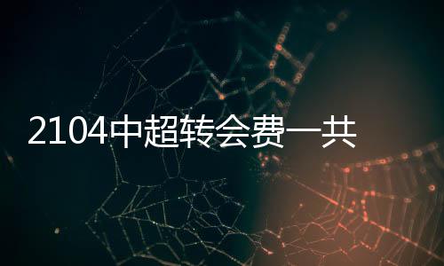 费共土耳其-21491496美元