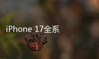快排公司十年历程，霸屏兔 seo 的崛起与坚守