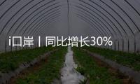 i口岸丨同比增长30%！“五一”假期首日，港珠澳大桥通关火爆