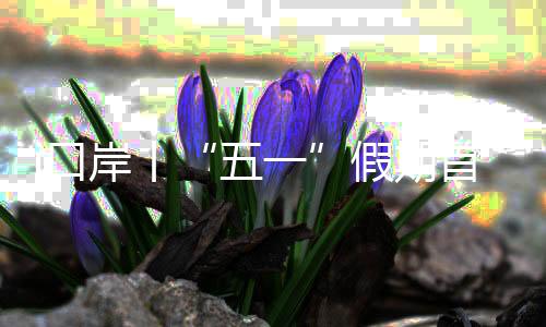 分别同比增长60%和42%