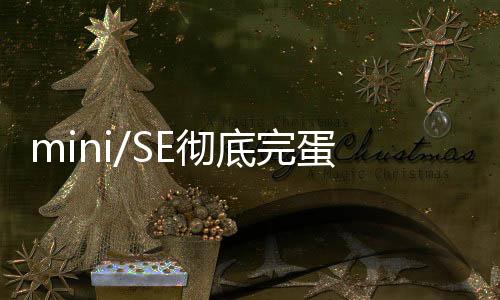 与苹果的再推小屏机不同