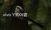 vivo Y300t官宣3月31日发布�：超长续航	，超强性能
